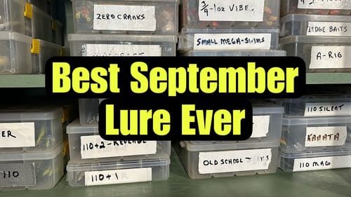The Most Productive Lure For September Bass Fishing…