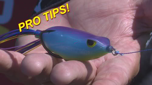 Summer Frog Fishing Tips | Bass Fishing