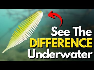 The #1 Texas Rig Option Bass Anglers Forget About (Don't Make This Mistake)