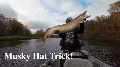 Big Musky Dreams Hat Trick on the River! Part 3 - River Personal Best!