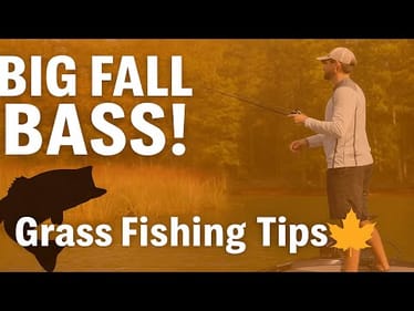 How to Catch BIG Bass in Fall Grass | Wes Logan's Winning Tips | Bass Fishing