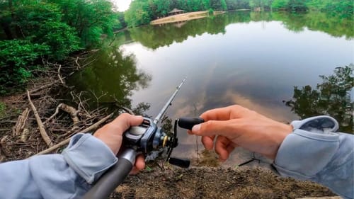 I Missed Something BIG While Bank Fishing New Lake Filled With Structure