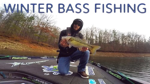 I Thought I Hooked a Bird! - Winter Bass Fishing