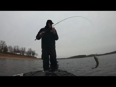 Some Relaxing Fish Catches and Fishing...