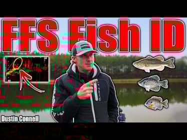 How to Identify Fish on FFS - STOP WASTING TIME Targeting the Wrong Fish