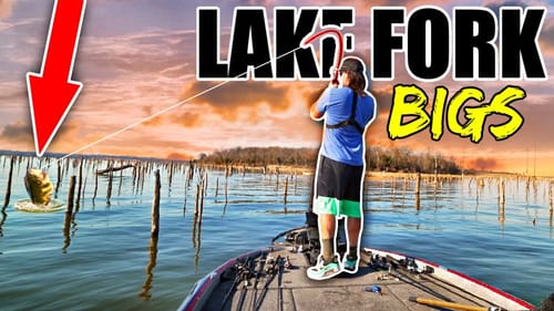 BIG BASS in the THICKEST COVER!! --Lake Fork Spring Fishing