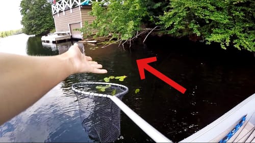 He STOLE My Fish!?