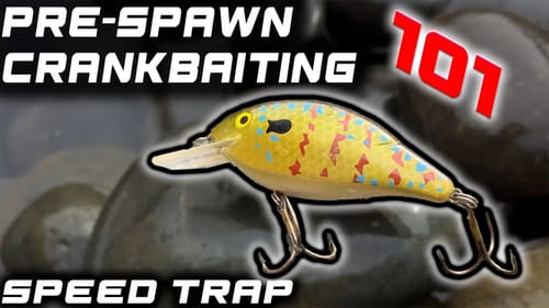 Crank Pre-Spawn Bass in the Grass!