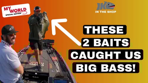 These 2 Baits Caught Us Big BASS!