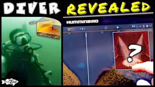 What a Diver Looks Like on Fish Finder Sonar Technologies