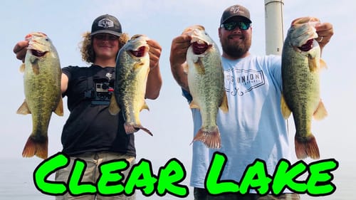 EPIC Frog Bite | Summer Bass Fishing Clear Lake With The Club | Top 5 Finish