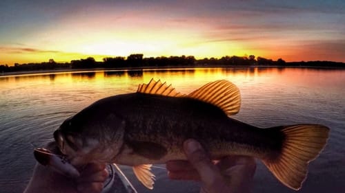 It's A Beautiful Morning For Some Bass Fishing