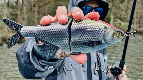 TWO Unexpected Catches Fishing BIG BAITS During Cold Front (back to back)