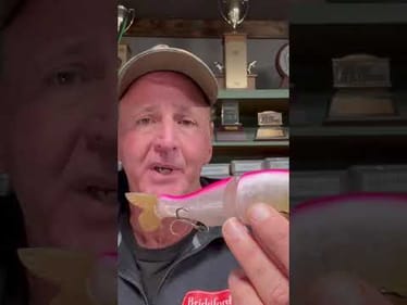 Big Bass Bait