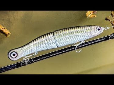 Do more eyes catch more fish?