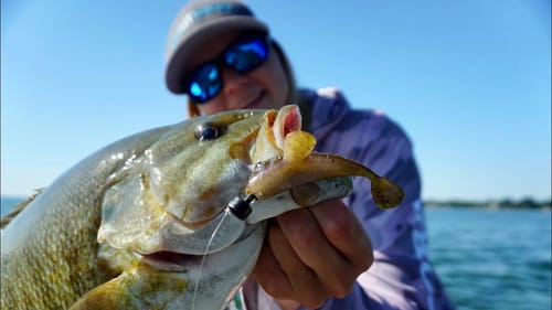 Smallmouth Destroyed Custom GOBY!! (Lake Simcoe Opener Part 2)
