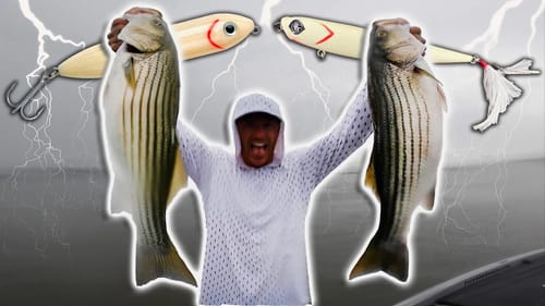 Insane Topwater Bite! Cold Front Feeding Frenzy!
