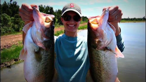 Topwater Bass Fishing Blowups Series 12 - Land Shark Edition