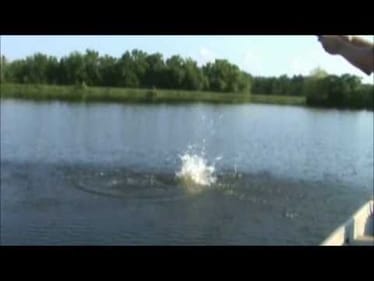 Big Bass Jumping Out of the Water. Bass Fishing Highlights.