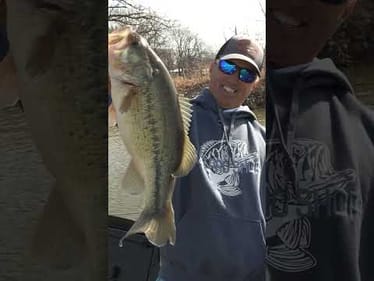 Dialing In The SPINNERBAIT Bite (ft. @EdwinEversfishing )