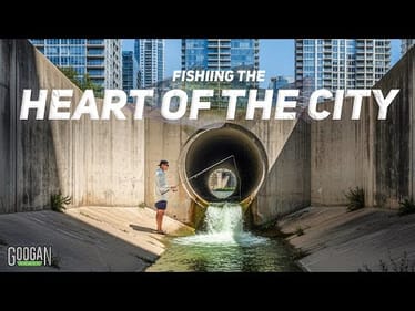 URBAN FISHING the CONCRETE JUNGLE! (Austin Texas Ep. 1)