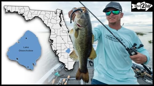 How to Pitch Stickbaits for More Springtime Bass