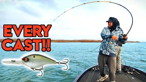 HOOKED UP! Catching Pre-Spawn Bass EVERY CAST w/ Deep Crankbait!