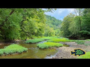 Creek Hopping in Southern Kentucky