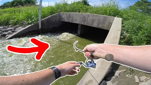 STATE RECORD Size Mystery Fish DEEP Inside TUNNEL!!! (Dream Catch)