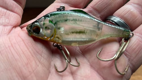 THIS Technique Will Catch You The Biggest Prespawn Limit Of Bass Of Your Life…