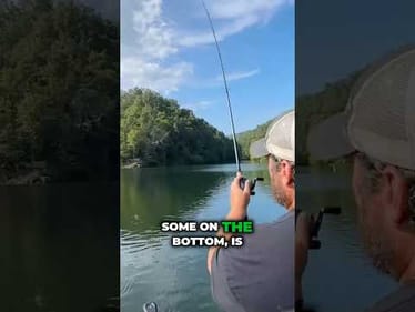 You Are Missing This Jig Retrieve