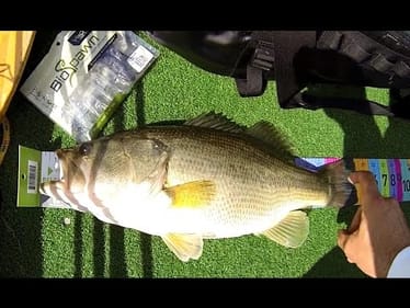 October MTB Slam - Mystery Tackle Box Slam of the Year Bass Fishing Tournament