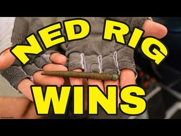 It's SIMPLE...NED RIG Catches More Bass