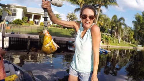 Tickling Peacock Bass