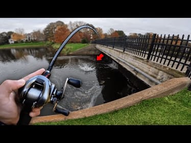 Fishing GOLF COURSE PONDS For GIANT Bass! (Bank Fishing)