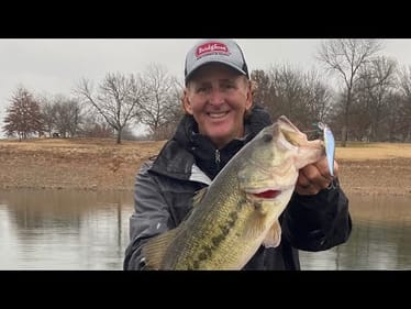 The ONLY Thing You Need To Know To Catch November Bass