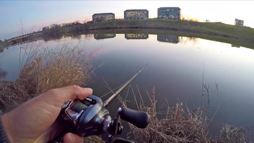 Bass Fishing in Down Town Dallas Texas