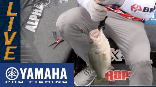 Yamaha Clip of the Day: Brandon Palaniuk's fast and furious Day 1