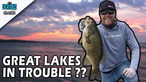 Learning BASS Forage with Fisheries Biologist JEFF ELLIOTT