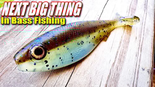 The NEXT BIG THING In FISHING