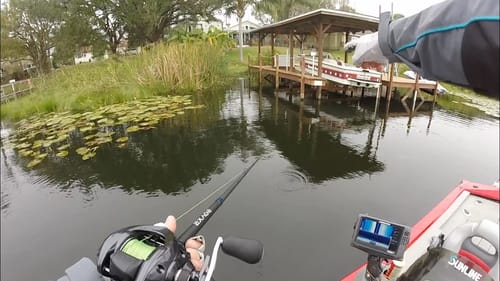 Bass Fishing Downtown Orlando! (FL3)