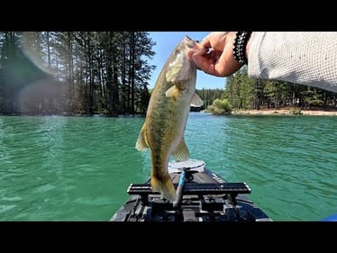 DAY 1-JENKINSON LAKE/SLY PARK BASS FISHING