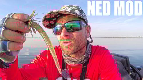 NED RIG DIY MOD you HAVE TO TRY BASS FISHING