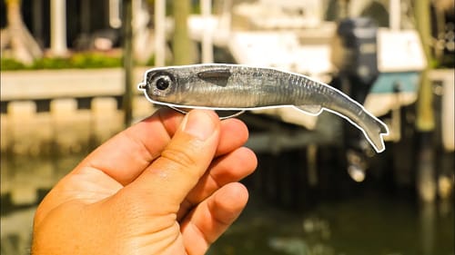 Big Saltwater Mullet Lure Gets CRUSHED By HUGE Fish