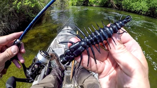 Fishing The Jumbo Hellgrammite For Big Smallies!