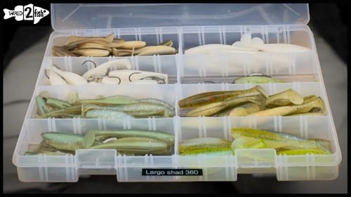 4 Swimbait Rigging Styles That Work Everywhere