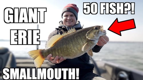 Lake Erie Smallmouth Fishing! (Finesse Swimbait fishing)