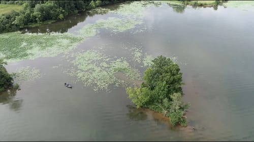 Unlock the Lake: Bill Lowen breaks down Lily Pads