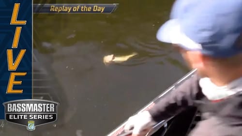 MISS RIVER: Brandon Palaniuk's incredible swimbait bite at the boat
