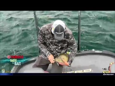 Taste the Bait: Kevin VanDam's many techniques for smallmouth on the St. Lawrence River